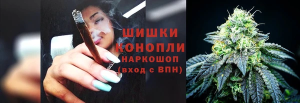 гидропоника Няндома