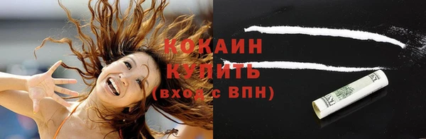 молекула духа Арсеньев