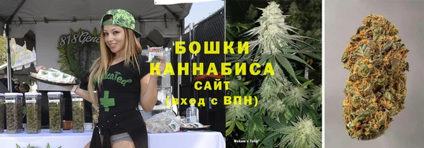 трава Новозыбков