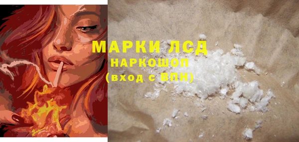 молекула духа Арсеньев