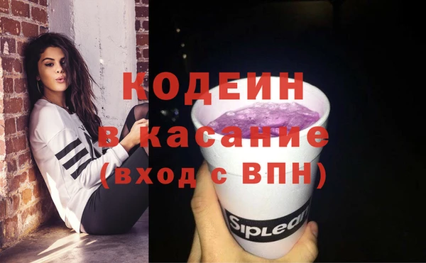 молекула духа Арсеньев