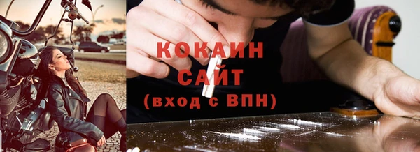 гидра Новодвинск
