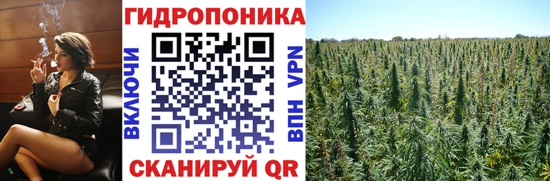 Бошки марихуана Bruce Banner  купить наркоту  Шилка 